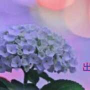 ヒメ日記 2025/06/29 13:14 投稿 板野とも 禁断のメンズエステR-18堺・南大阪店