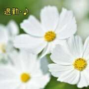 ヒメ日記 2025/06/29 21:24 投稿 板野とも 禁断のメンズエステR-18堺・南大阪店