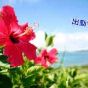 ヒメ日記 2025/07/19 19:04 投稿 板野とも 禁断のメンズエステR-18堺・南大阪店