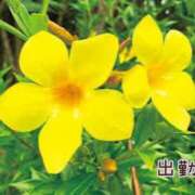 ヒメ日記 2025/07/26 00:24 投稿 板野とも 禁断のメンズエステR-18堺・南大阪店