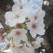 ヒメ日記 2025/07/26 22:04 投稿 板野とも 禁断のメンズエステR-18堺・南大阪店