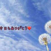 ヒメ日記 2025/07/27 02:57 投稿 板野とも 禁断のメンズエステR-18堺・南大阪店