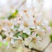 ヒメ日記 2025/08/05 18:44 投稿 板野とも 禁断のメンズエステR-18堺・南大阪店