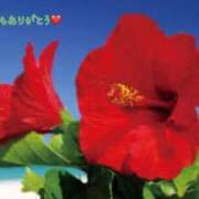 板野とも 退勤しました♡ 禁断のメンズエステR-18堺・南大阪店