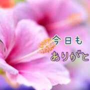 ヒメ日記 2026/01/12 16:54 投稿 板野とも 禁断のメンズエステR-18堺・南大阪店