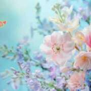 ヒメ日記 2026/02/07 23:34 投稿 板野とも 禁断のメンズエステR-18堺・南大阪店