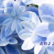 ヒメ日記 2026/02/08 04:34 投稿 板野とも 禁断のメンズエステR-18堺・南大阪店