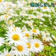 ヒメ日記 2026/02/23 20:44 投稿 板野とも 禁断のメンズエステR-18堺・南大阪店