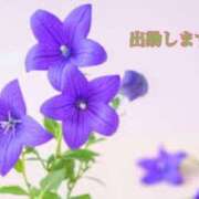 ヒメ日記 2026/03/01 12:04 投稿 板野とも 禁断のメンズエステR-18堺・南大阪店