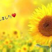 ヒメ日記 2026/03/01 19:24 投稿 板野とも 禁断のメンズエステR-18堺・南大阪店