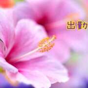 板野とも これから💕 禁断のメンズエステR-18堺・南大阪店