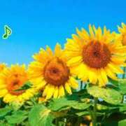 板野とも 退勤‪🎶‬ 禁断のメンズエステR-18堺・南大阪店