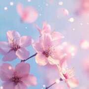 ヒメ日記 2026/04/04 08:34 投稿 板野とも 禁断のメンズエステR-18堺・南大阪店