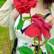 ヒメ日記 2025/07/01 13:05 投稿 なのは 大宮ウィング