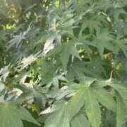 ヒメ日記 2025/08/28 15:05 投稿 なのは 大宮ウィング