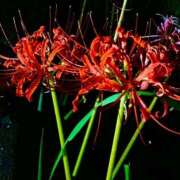 ヒメ日記 2025/10/04 02:15 投稿 なのは 大宮ウィング