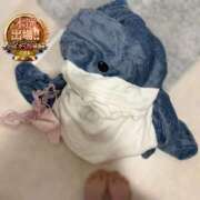 ヒメ日記 2025/11/18 12:05 投稿 なのは 大宮ウィング