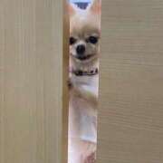 ヒメ日記 2026/01/08 20:25 投稿 なのは 大宮ウィング