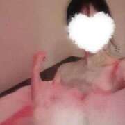 ヒメ日記 2026/04/26 06:03 投稿 ゆら☆N女子大 ガン騎シャ！！即またがりたい女子大生