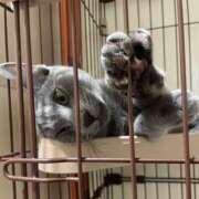 ヒメ日記 2026/03/10 15:58 投稿 こよい クラブハート