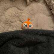 ヒメ日記 2026/03/12 11:28 投稿 こよい クラブハート