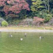 ヒメ日記 2025/11/19 11:16 投稿 川崎 熟女の風俗最終章 新横浜店