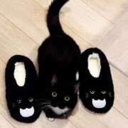 ヒメ日記 2024/12/20 16:13 投稿 みかど 奴隷コレクション