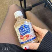 ヒメ日記 2024/12/27 13:41 投稿 みかど 奴隷コレクション