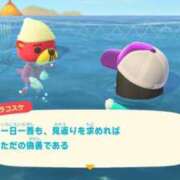 ヒメ日記 2025/03/10 15:20 投稿 みかど 奴隷コレクション