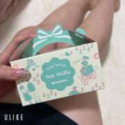 ヒメ日記 2025/03/15 03:06 投稿 みかど 奴隷コレクション