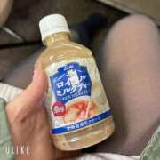 ヒメ日記 2025/03/21 01:00 投稿 みかど 奴隷コレクション