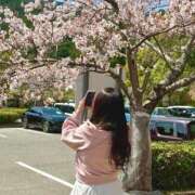 ヒメ日記 2025/04/11 14:01 投稿 みかど 奴隷コレクション