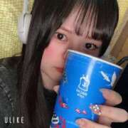 ヒメ日記 2025/04/29 13:07 投稿 みかど 奴隷コレクション