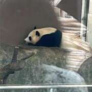 ヒメ日記 2025/06/15 14:51 投稿 みかど 奴隷コレクション