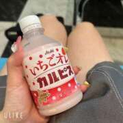 ヒメ日記 2025/09/11 02:56 投稿 みかど 奴隷コレクション