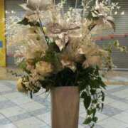 ヒメ日記 2024/12/16 23:45 投稿 なつこ 宮崎ちゃんこ都城店