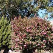 ヒメ日記 2026/01/14 13:35 投稿 なつこ 宮崎ちゃんこ都城店