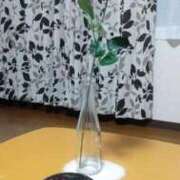 ヒメ日記 2026/01/21 04:25 投稿 なつこ 宮崎ちゃんこ都城店