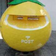 ヒメ日記 2026/02/02 12:29 投稿 なつこ 宮崎ちゃんこ都城店