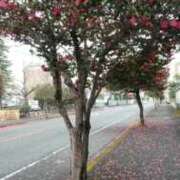 ヒメ日記 2026/02/07 13:25 投稿 なつこ 宮崎ちゃんこ都城店