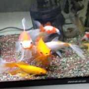 ヒメ日記 2026/02/28 20:15 投稿 なつこ 宮崎ちゃんこ都城店