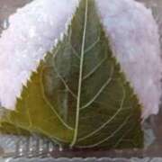 ヒメ日記 2026/03/04 17:05 投稿 なつこ 宮崎ちゃんこ都城店