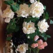 ヒメ日記 2026/03/04 22:04 投稿 なつこ 宮崎ちゃんこ都城店