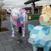 ヒメ日記 2026/03/24 04:55 投稿 なつこ 宮崎ちゃんこ都城店