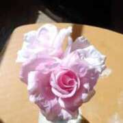 ヒメ日記 2026/03/25 06:55 投稿 なつこ 宮崎ちゃんこ都城店