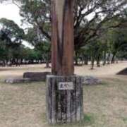 ヒメ日記 2026/03/25 18:05 投稿 なつこ 宮崎ちゃんこ都城店