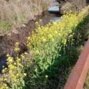 ヒメ日記 2026/03/26 14:35 投稿 なつこ 宮崎ちゃんこ都城店