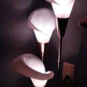 ヒメ日記 2026/03/29 18:35 投稿 なつこ 宮崎ちゃんこ都城店