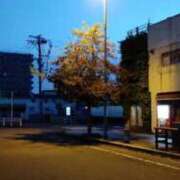 ヒメ日記 2026/04/09 14:35 投稿 なつこ 宮崎ちゃんこ都城店