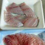 ヒメ日記 2026/04/10 12:15 投稿 なつこ 宮崎ちゃんこ都城店